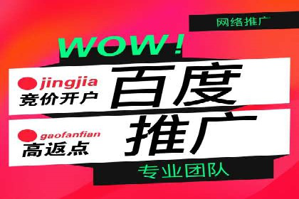 百度竞价排名：实战案例告诉你如何实现精准推广